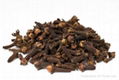Cloves spices 1