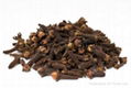 Cloves spices