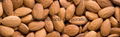 Almond Nut 1