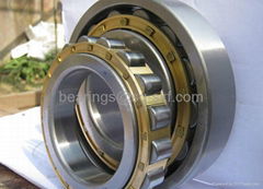 cylindrical roller bearing