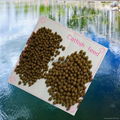 Catfish feed / Fish meal 2