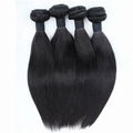 Silky Straight Peruvian Virgin Hair Weft 1