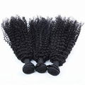 Kinky Curly Indian Virgin Hair Weft 1