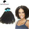 Kinky Curly Natural Black Brazilian Virgin Human Hair Weaving Without Chemical 1