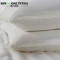 100% Pure Silk pillow  1