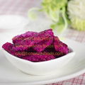 Freeze Dried Dragon Fruits 1