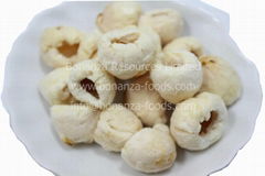 Freeze Dried Litchi