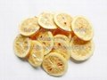 Freeze Dried Lemon  2
