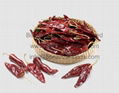 Dried Hot Chili  2