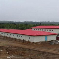 Container House Labor Camp