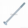 cup head square neck bolt 2