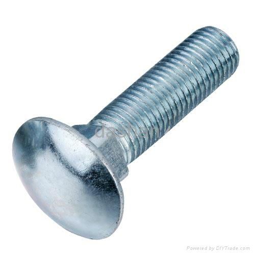 cup head square neck bolt 3