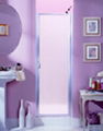 Hing swing shower door 1