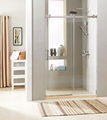 Big-roller shower door