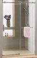 Big-roller shower door 2