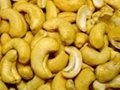 Raw Cashew Nuts 1