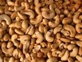 Raw Cashew Nuts 4