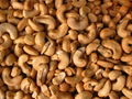 Raw Cashew Nuts 5