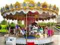 Amusement Park Carousel Ride
