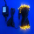 LED fairy light 4