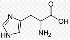 Hot sale for L-Histidine