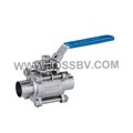3-Piece Sanitary Ball Valve Butt Weld with ISO5211 Mounting Pad 1