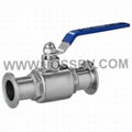 Sanitary Ball Valve Clamp