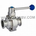 Sanitary Butterfly Type Ball Valve