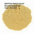 Brewer Grain Powder