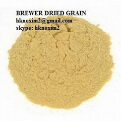 Brewer Grain Powder 