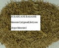 SUGARCANE BAGASSE