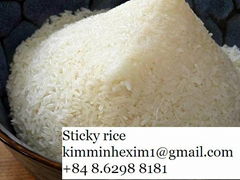 Sticky rice