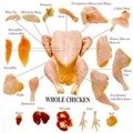 Chicken & parts 1