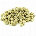 Green Coffee Bean Extract