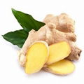 Ginger Extracts