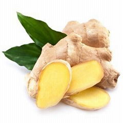 Ginger Extracts