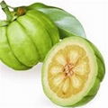 Garcinia Cambogia Extracts 1