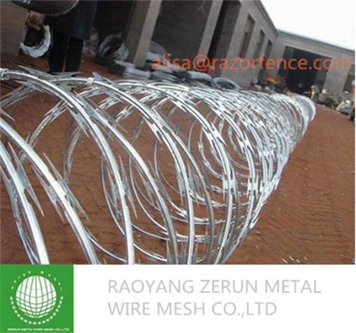 Concertina Razor Wire 3