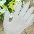 Disposable vinyl exam gloves powdered 3