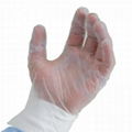 powder free vinyl exam gloves size S/M/L