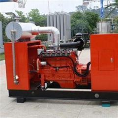 Cummins Biomass Generator