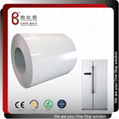 Home appliance standard Manufacturer PPGI/Prepainted Steel Coils for freezer 1