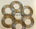 Corrugated Gaskets 4