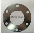 Tanged Metal Reinforced Graphite Gasket