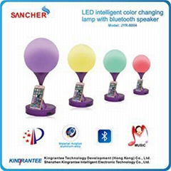 Color Changed Speaker Table Lamp