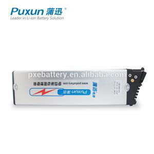 Ebike Battery