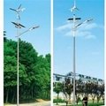 Wind Solar Hybrid Light