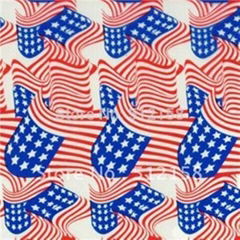 Water Transfer Printing Patterns Hydro Graphics Film - USA Flag GW6110