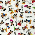 Wholesale Water Transfer Printing Film -Mickey Mouse GY304 1