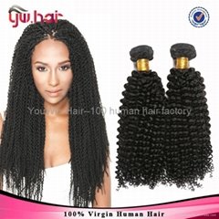 100 human hair brazilian hair kinky curly hair